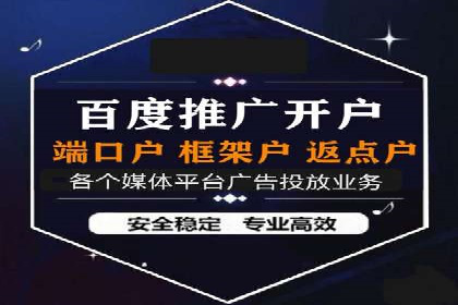 百度竞价推广运营策略：成功案例解析